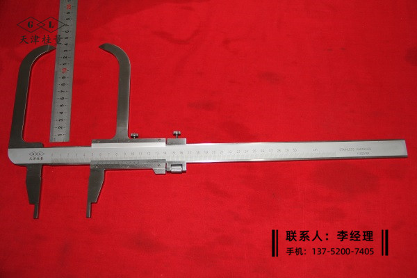 雙面壁厚游標(biāo)卡尺0-300×135mm