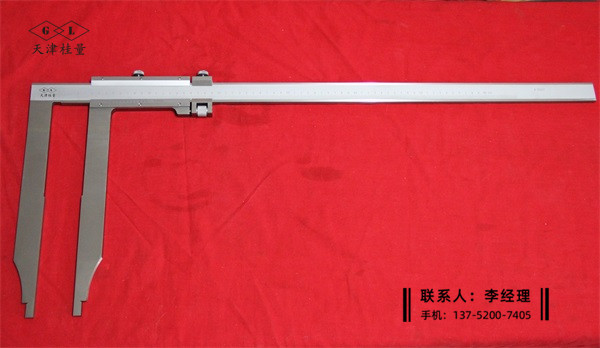 長爪卡尺0-600×300mm(尺身32mm)