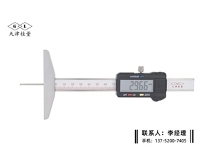 細桿數(shù)顯深度卡尺0-100mm