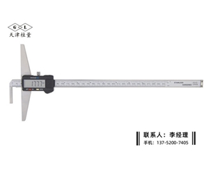 加長單溝數(shù)顯深度卡尺0-300mm