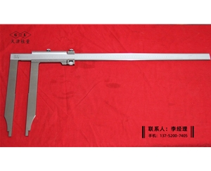 長爪卡尺0-600×300mm(尺身32mm)