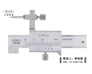 游標(biāo)面差尺±10mm